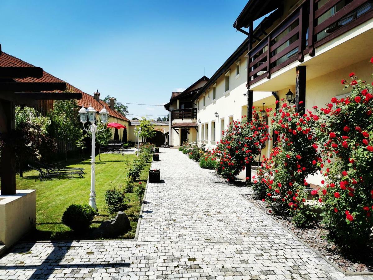 Pensiunea Casa Moga Bucium  Zewnętrze zdjęcie
