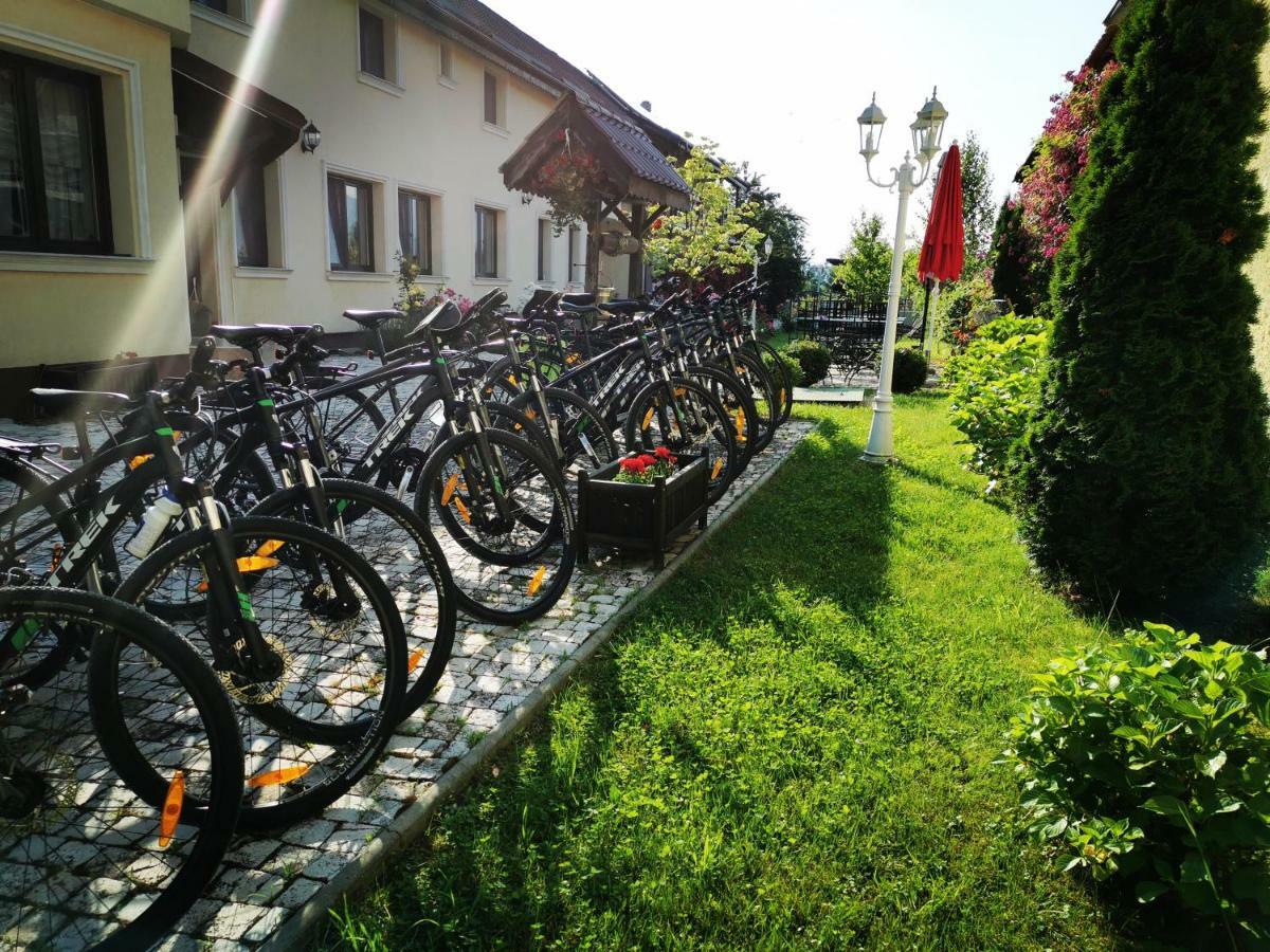 Pensiunea Casa Moga Bucium  Zewnętrze zdjęcie